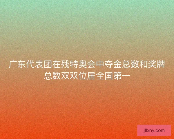 广东代表团在残特奥会中夺金总数和奖牌总数双双位居全国第一