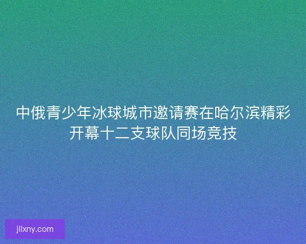 中俄青少年冰球城市邀请赛在哈尔滨精彩开幕十二支球队同场竞技 中俄青少年冰球城市邀请赛在哈尔滨精彩开幕十二支球队同场竞技